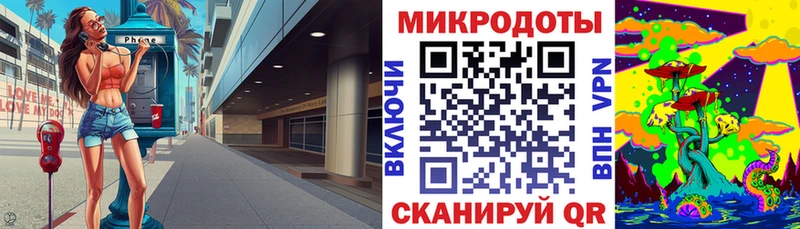 площадка клад  Кстово  Псилоцибиновые грибы Cubensis 