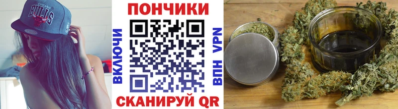 где купить наркоту  Кстово  Шишки марихуана ГИДРОПОН 
